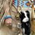 Jodie Wix's profile image