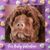 Adrienne Parks-Ristick's profile image