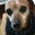 Jim Wolleck's profile image