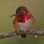 Cindy Beyoglides's profile image