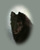 Betty Pat G.'s profile image