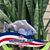 Joni Shellenbarger Anderson's profile image