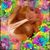 Amy McKenty-Jenkins's profile image