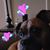 Melissa Marconi Wuchter's profile image