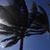 Jonathan Bullinger's profile image