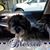 Kathleen Mulcahy's profile image