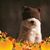 Robyn A Cyr's profile image