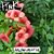 Denise Evrard's profile image