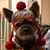 Robyn Wells Hughes's profile image
