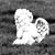 Dianna Dawn Wilson-Jepson's profile image