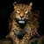 Tonya Sanford's profile image