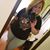 Amber Michelle Donnelly's profile image