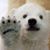Shawna Clemens Lmt's profile image