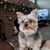 Terry Ervinck's profile image
