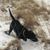 Larry Pasman's profile image