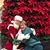 Micheline Joyner Prescott's profile image