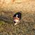 Brete Bedwell's profile image