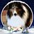 Carole Watkins's profile image