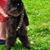 Nathan McNaughton's profile image