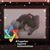 Judy Davidson's profile image
