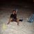 David Torres's profile image