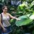 Rachel Flaat's profile image
