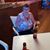 Teresa Wright Birchall's profile image