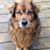 Judy Dollhopf's profile image