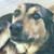 Kathy McDonald's profile image
