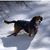 Bernie Robert Hulse's profile image