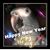 Diana Campbell's profile image