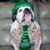 Karen Zeuner Swartz's profile image