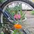 Kathleen Krause Lazarski's profile image