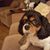 Edie Johnson's profile image