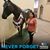 Diane Suzuki's profile image