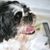 Ginny Monica's profile image