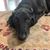 Kirsten Horsfall's profile image