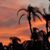 Donna Swanhart's profile image