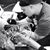 Chinh Inks's profile image