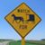 Kathy Higgins-Schmelz's profile image