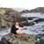 Mandy L. Lewis's profile image