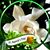 Shelley Dryden Wagner's profile image