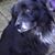 Mary Haugen's profile image