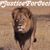 Marlo Patterson's profile image
