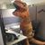 Sandra Schwartz's profile image