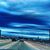 Susan Remmert's profile image