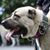 Burhan İpek's profile image
