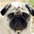 Russell Walker's profile image