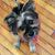 Stacey Nease's profile image