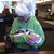 Cherrie Johnston's profile image
